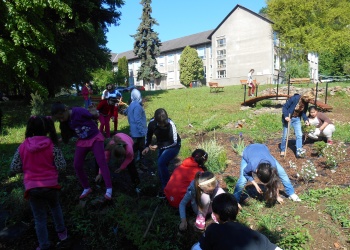 Obrázok ku správe: Adaptačné opatrenia na klimatické zmeny v okolí školy pod Slanským hradom