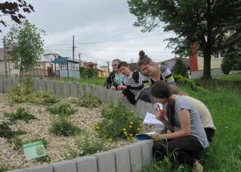 Obrázok ku správe: Knowledge garden